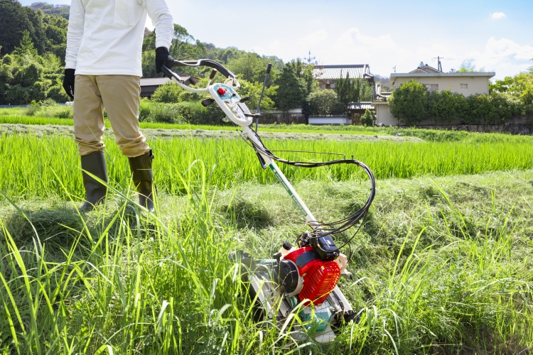 草取り作業にいかが？ sv-6971_3.jpg